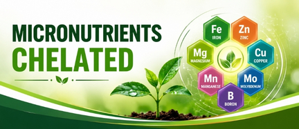Biostimulants