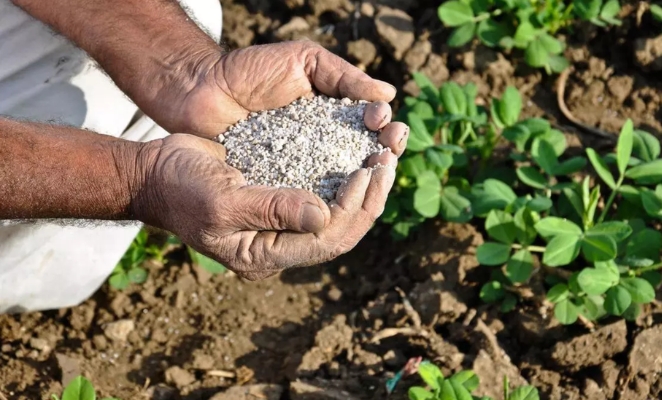 Biofertilizers